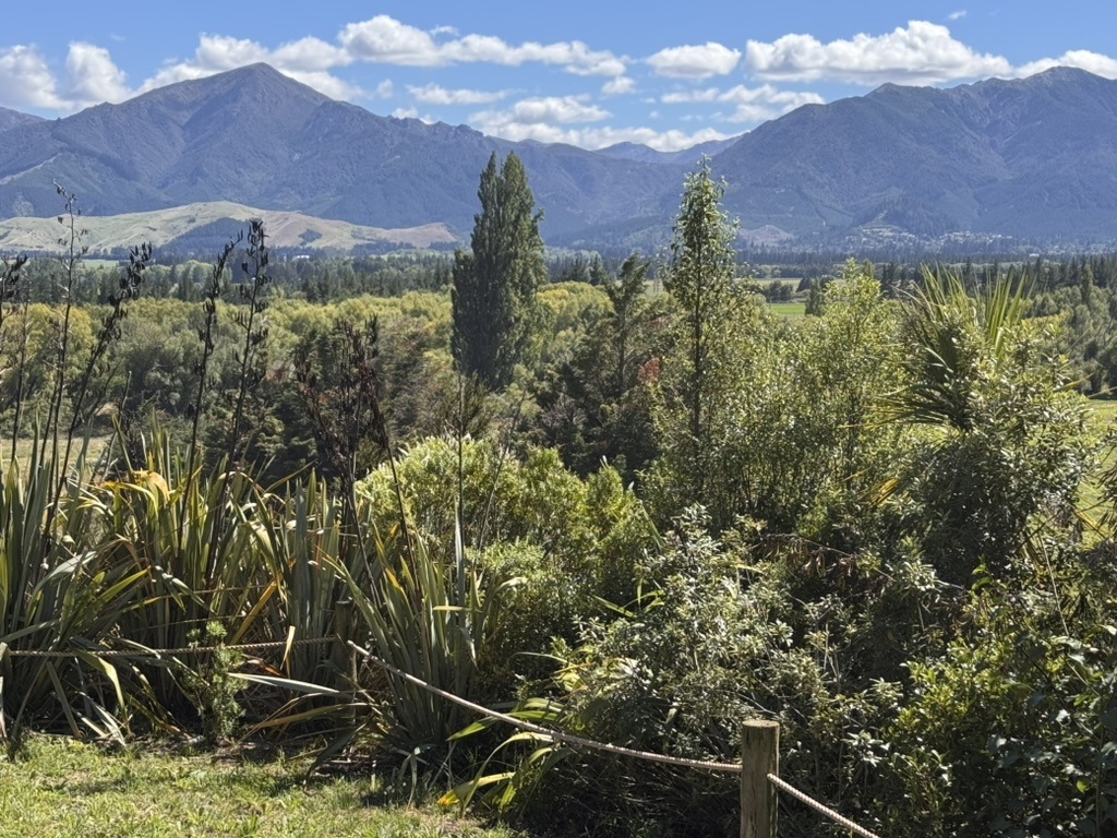 Views at Hanmer Glamping