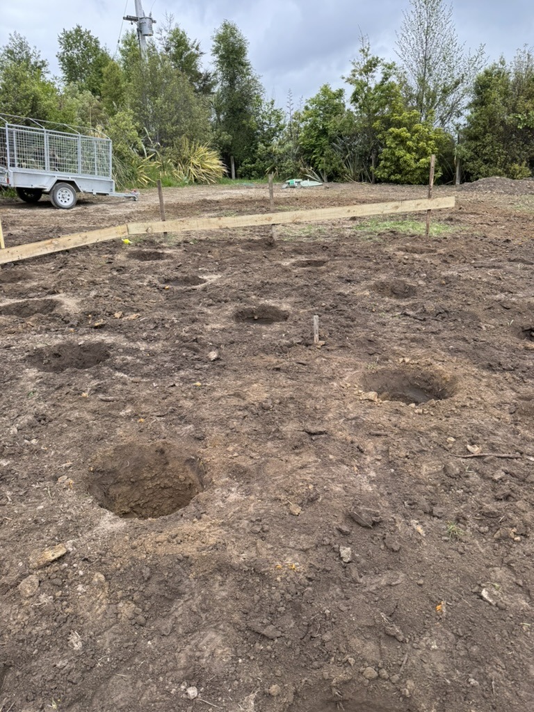 Piles all drilled for Isobel Geodome, waiting for the concrete pour