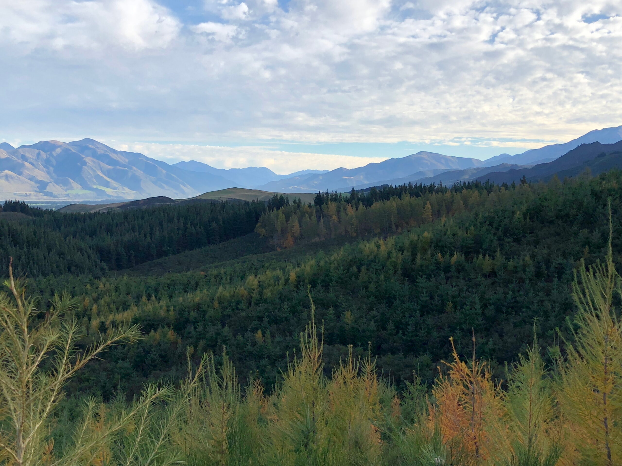 Hanmer Springs view towards the Lewis Pass from Jacks Pass